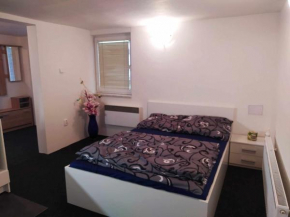 Apartmán na Rybářské Zábřeh